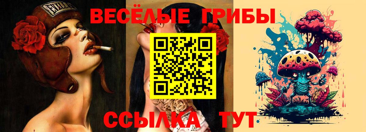 Галлюциногенные грибы GOLDEN TEACHER  Псилоцибиновые грибы Psilocybe  Кстово  Вход с VPN 
